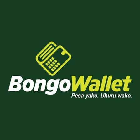 BongoWallet logo